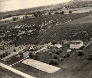 Stiffler Orchards as seen from the air-1960s.